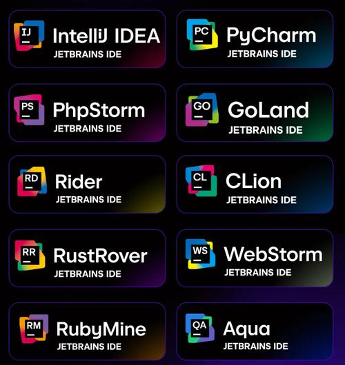 3. JetBrains AI Assistant(工程严谨型,IDE内置)示意图