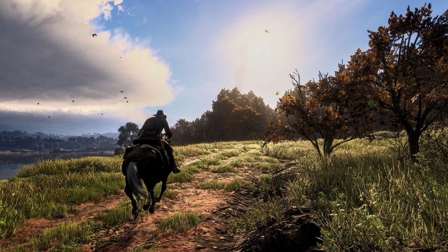 gameplay