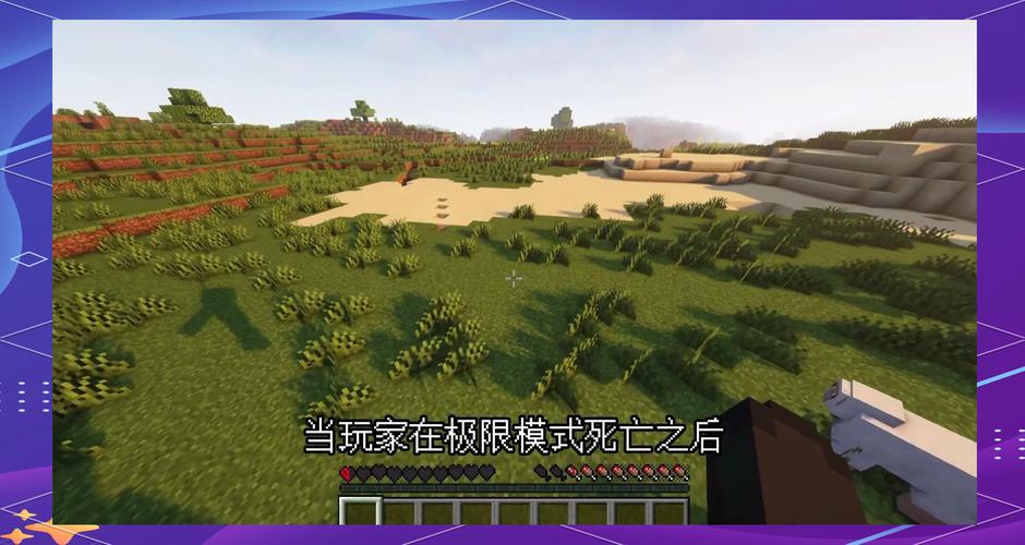 gameplay
